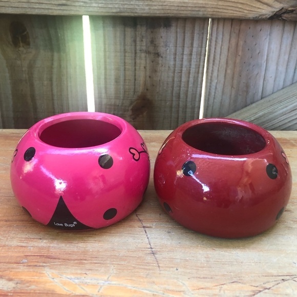 Set of 2 Rocket Farms Lovebugs Ladybugs Mini Planters Pink & Red with Hearts - Picture 4 of 8